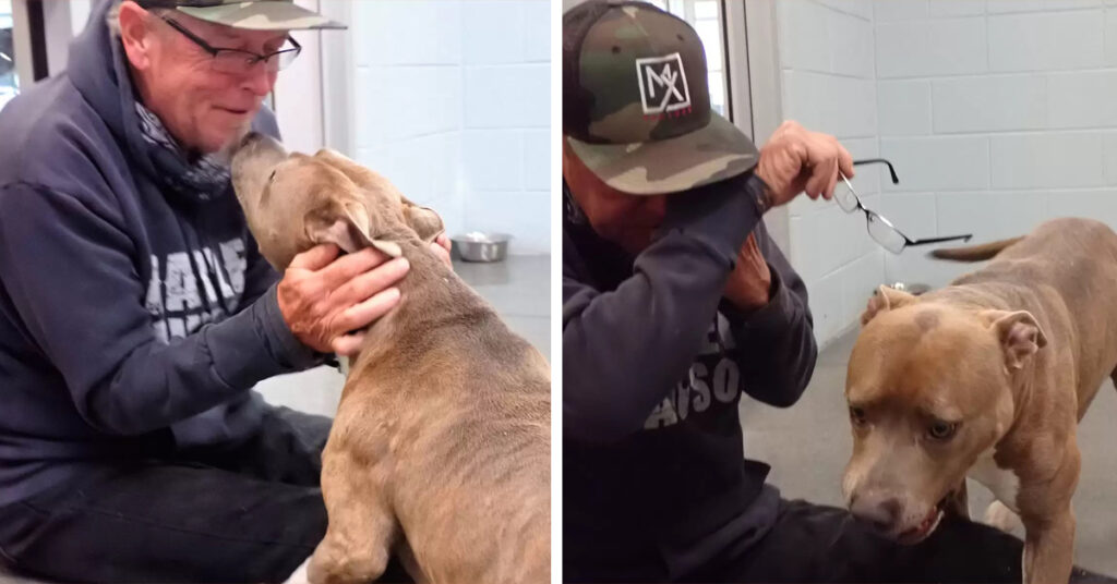 Man Can’t Believe He Found His Beloved Puppy After 200 Days Apart!