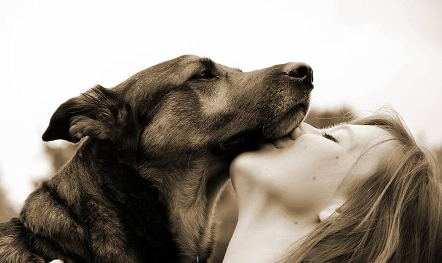 10 Reasons Having A Pet Is Good For Your Mental Health