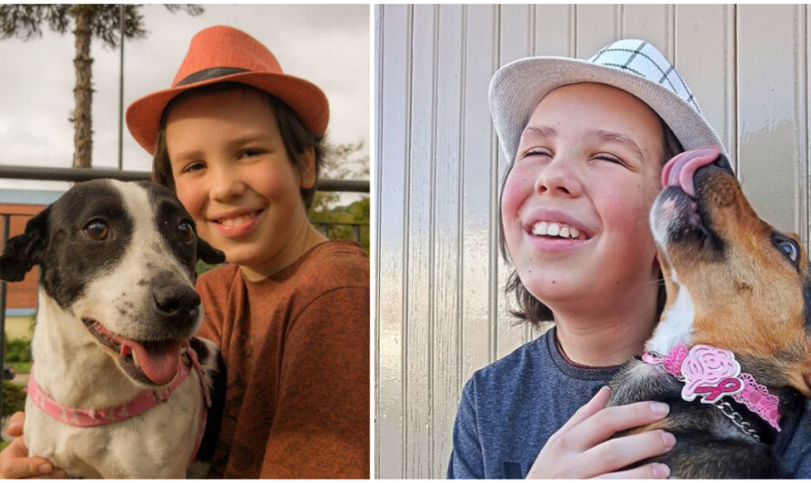 11-Year-Old Boy Spends His Free Time Giving Baths To Stray Dogs To Help Them Get Adopted