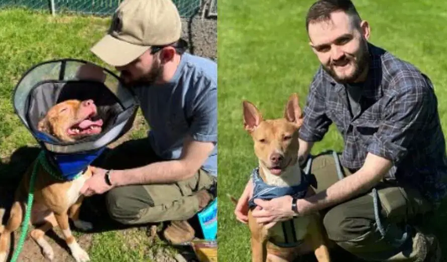 Dog seized from abusive household gets adopted by officer who rescued her