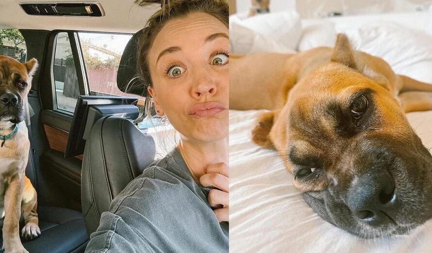 Kaley Cuoco announces she has adopted new rescue dog named Dahlia: “We hit the jackpot”