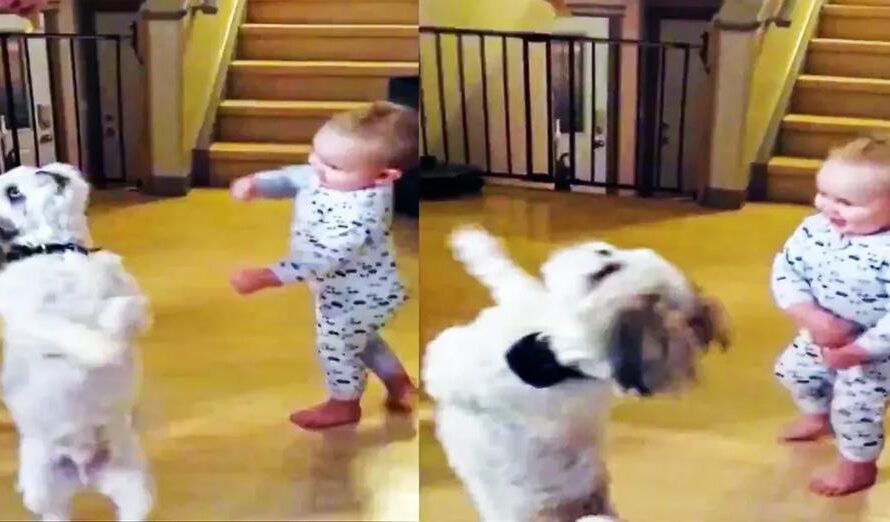 Adorable Baby And Puppy Go For A Spin To Get Snacks