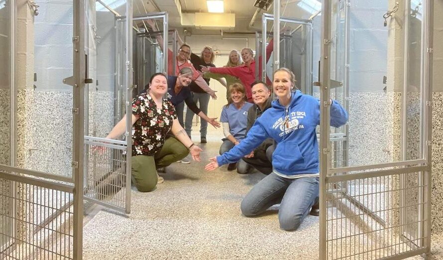 Pennsylvania shelter gets “Christmas miracle” after emptying shelter for first time in 47 years — congratulations