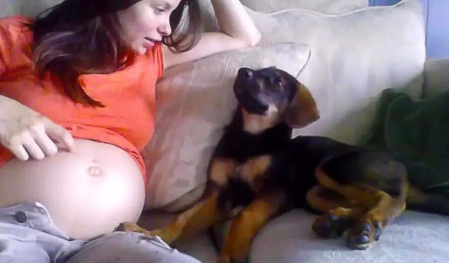 Mother Tells Her Puppy She Is Pregnant And She Approves