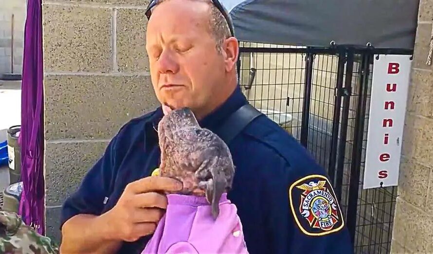 Puppy Is Reunited With The Firefighter Who Saved Her From Abuse