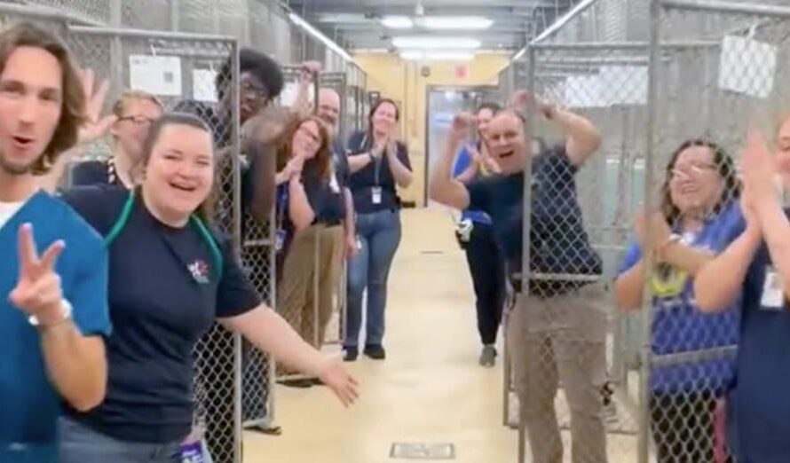 Florida shelter celebrates going from “critical capacity” to completely empty kennels — congratulations