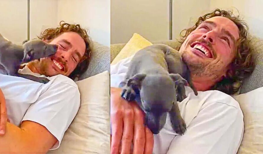 Man Who Has Never Had a Dog Meets His New Puppy For The First Time