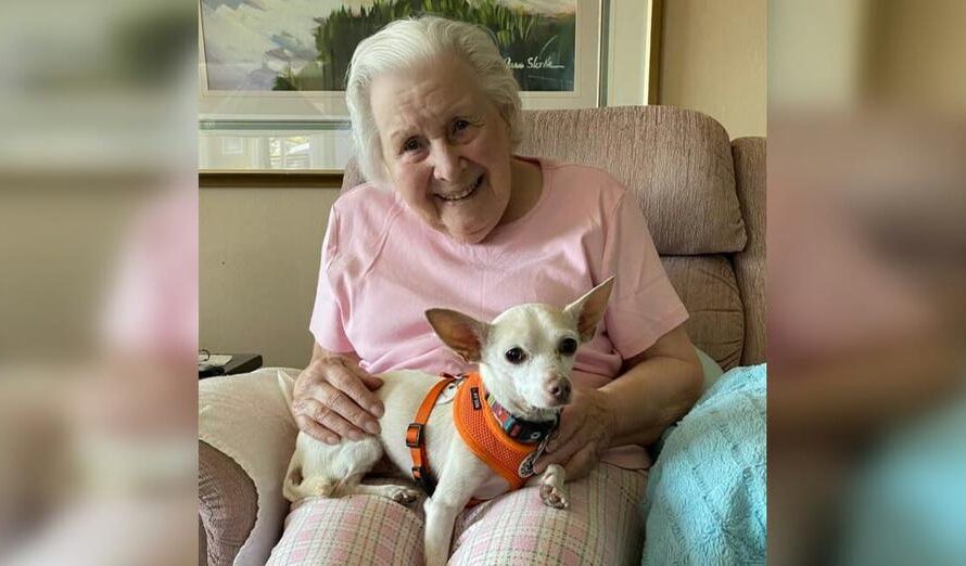 A perfect match: 11-year-old senior dog gets adopted by 100-year-old woman