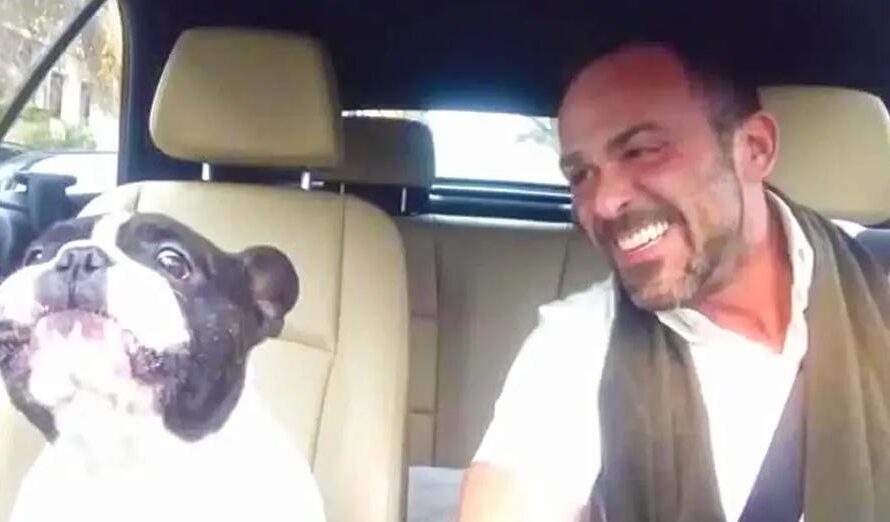 Singing Frenchie Is Back For Another Duet With His Owner