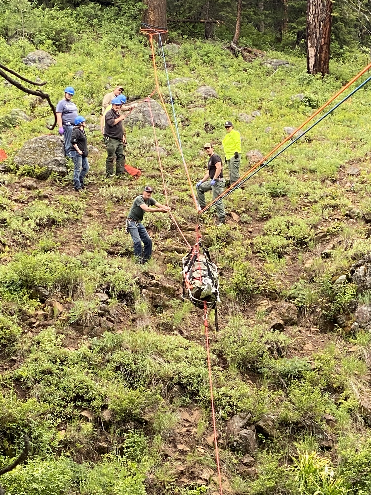 May be an image of 5 people, people climbing and tree