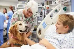 therapy dog visiting