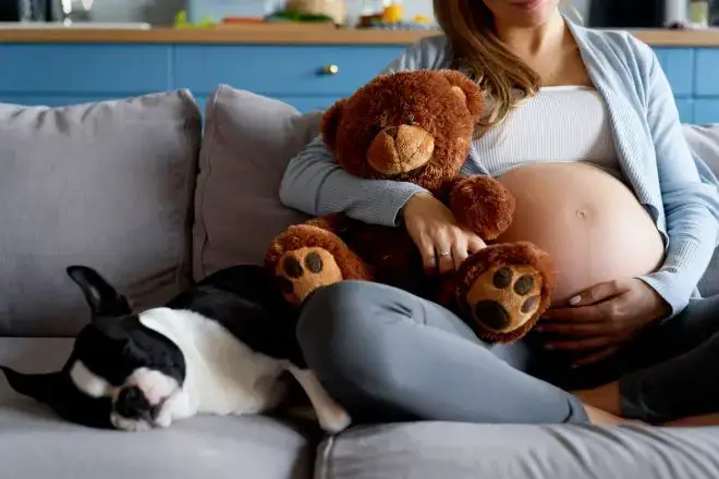 Dog with Pregnant Human