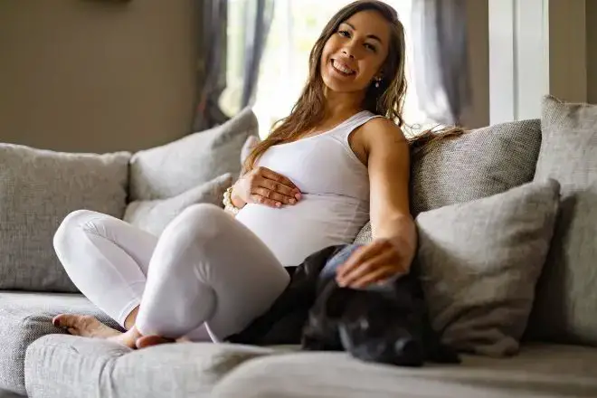 Dog with Pregnant Human