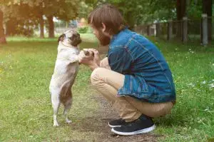 dog dancing with man