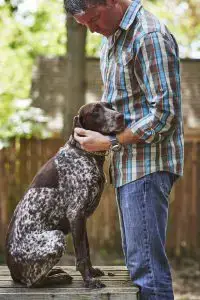 dog hugged by man