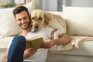 dog reading book