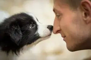 happy young man and dog