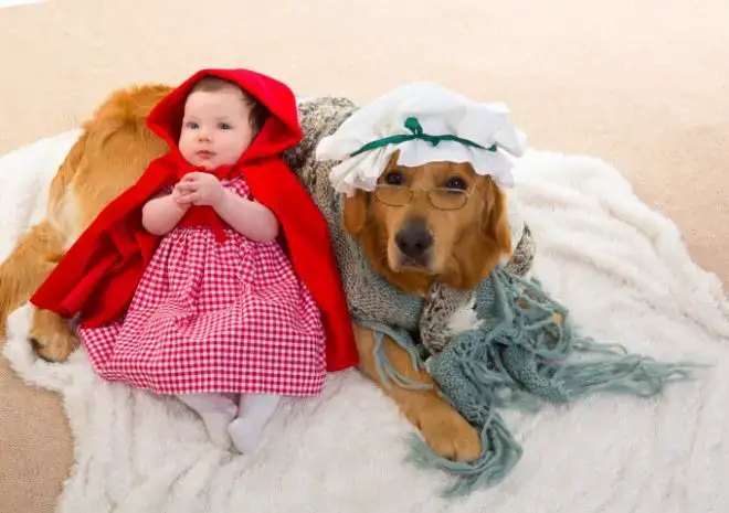 Golden Retriever with baby