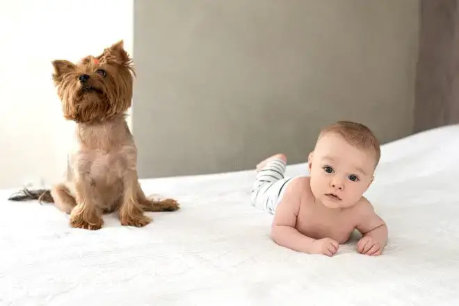 dog and baby