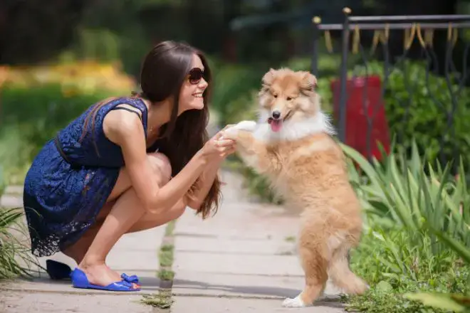 woman and dog