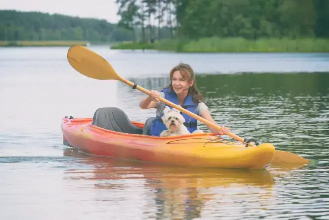 Dog in Kayak