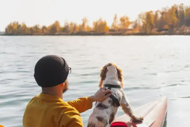 Dog in Kayak