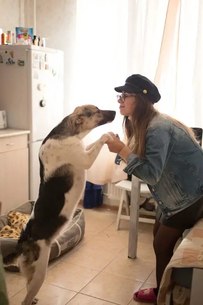 dog greets woman