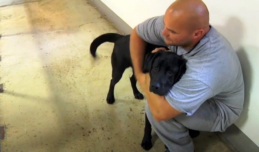 Dog Is Put Into Inmate’s Jail Cell, Inmate Sees The Dog And Swiftly Grabs Him