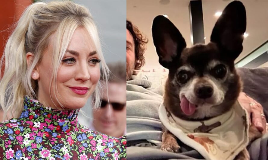 “Big Bang Theory” star Kaley Cuoco adopts senior rescue dog