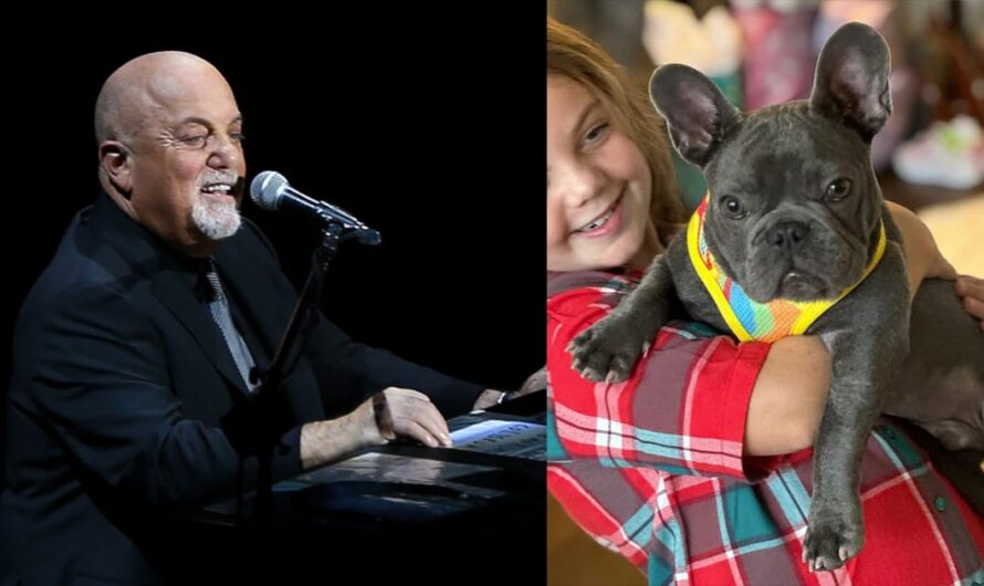 Billy Joel adopts rescue dog from shelter: “Now he is part of our family”