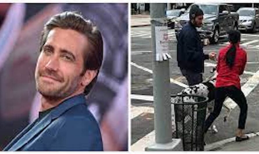 Jake Gyllenhaal saves a loose dog from traffic: ‘He really was a hero’