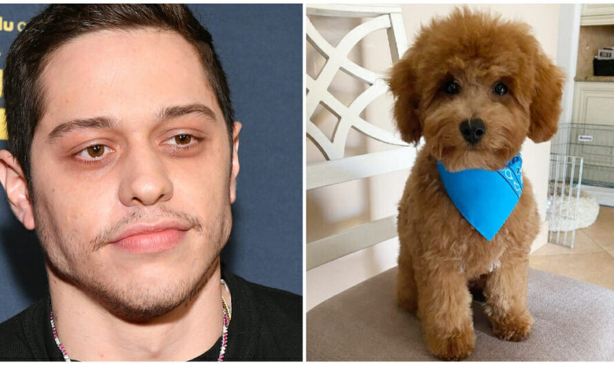 Pete Davidson mourns death of beloved family dog Henry: “He saved our lives”