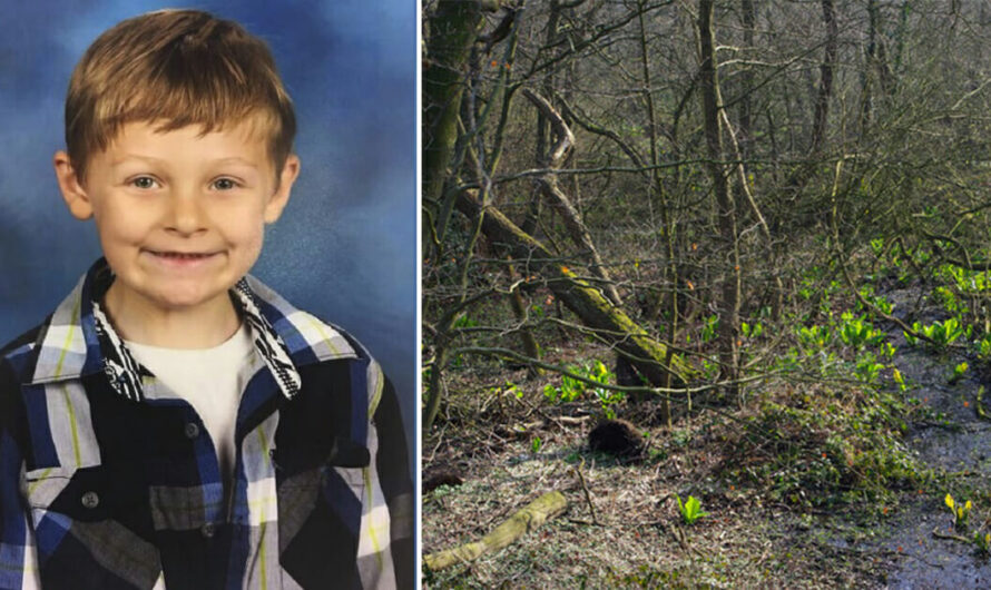 6-year-old boy goes missing: When rescuers find him, they notice what’s lying beside him