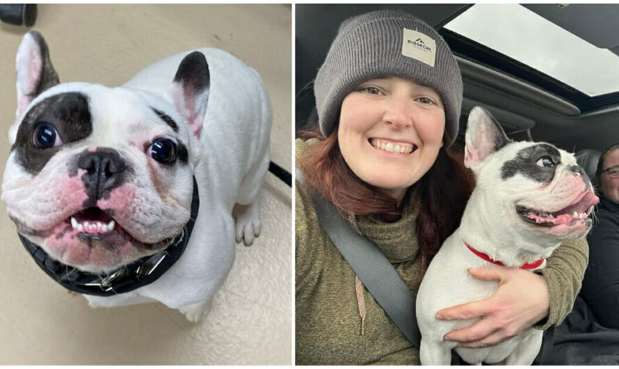 Ralphie, ‘fire breathing demon’ from viral adoption post, adopted by ‘perfect’ new owner