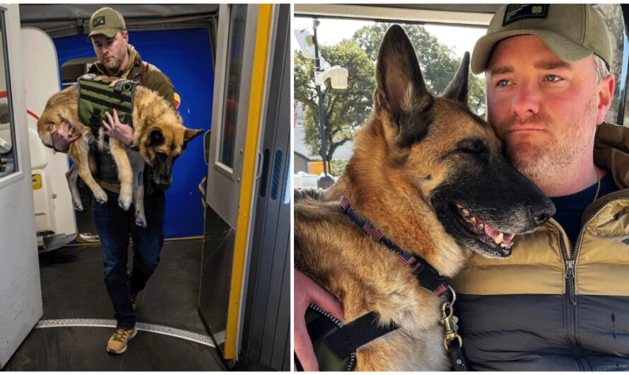 Veteran’s loyal service dog gets a special send-off on her final flight home