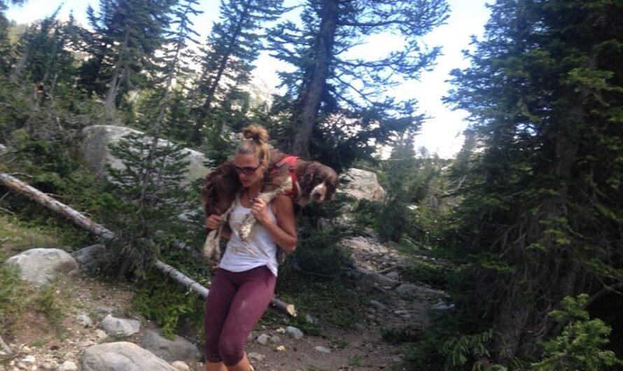 Honorable Action: Woman Carrying A Severely Injured Dog 55 Pounds On Her Shoulder For Six Hours Down The Mountain, A Proof of Our Devotion To Animals In Need.