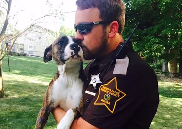 Unwanted Dog Dumped At Park Gets Adopted By The Cop That Rescued Her.