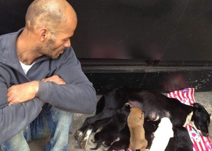 Man Sells Everything He Could To Save His Dog With Her Seven Puppies And Goes Viral For Touching The Hearts Of All People Around The World