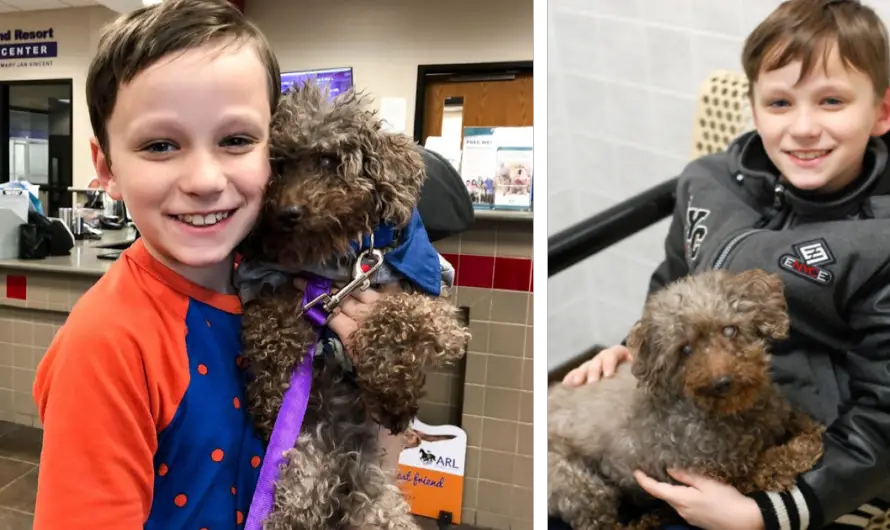 A Young Boy Adopts the Oldest ᴜɴᴡᴀɴᴛᴇᴅ ᴅᴏɢ from the Animal Shelter and Makes Him Happy Until His Last Days