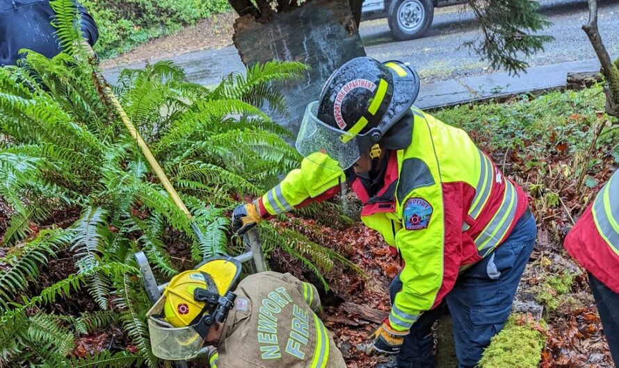 ”Firefighters rescue dog that fell into a well, demonstrating their commitment to saving lives, even four-legged friends.”