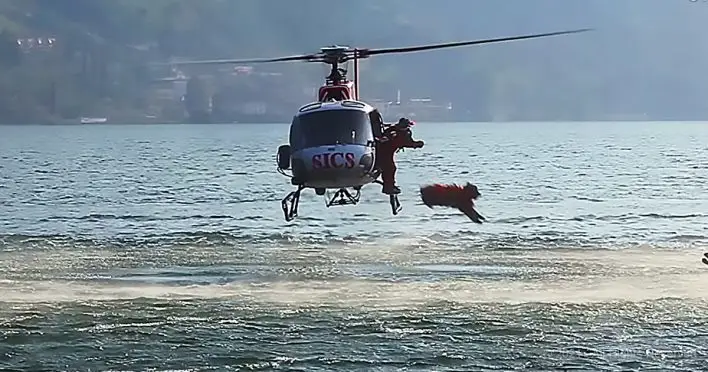 Daring Canine Rescuers: Watch Italian Lifeguard Dogs Leap from Helicopters to Save Lives at Sea