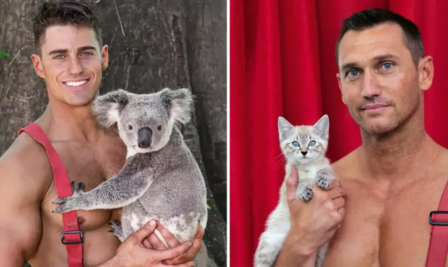 Australian firefighters pose with animals in calendar to raise money for charities