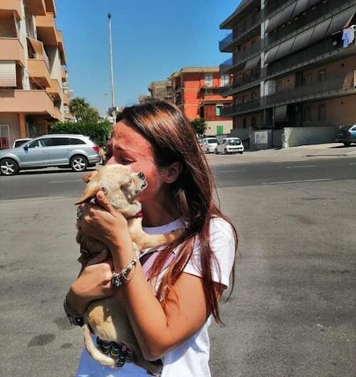 After 9 years of separation, Heartwarming reunion between a woman and her beloved dog