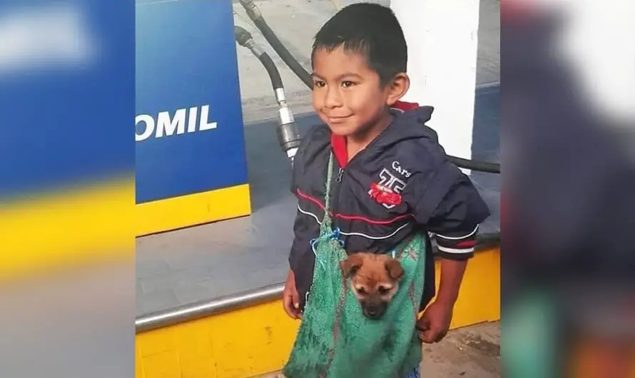 Despite the difficulties, a humble boy hugs his pet in the cutest way possible