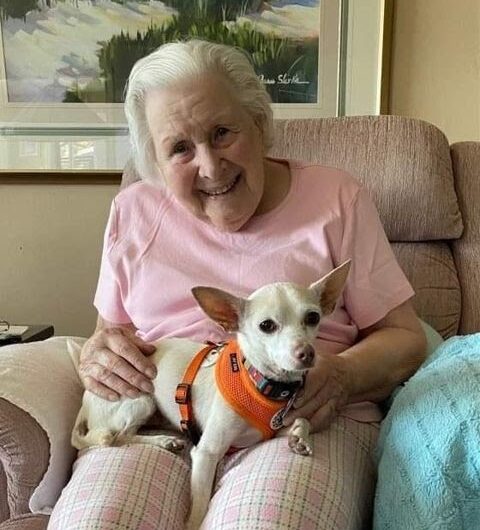 100-year-old woman finds ‘perfect match’ in 11-year-old senior chihuahua