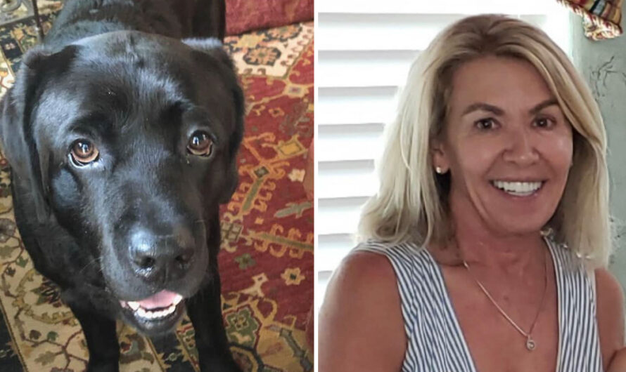 Missing woman with dementia found safe thanks to the loyal dog by her side