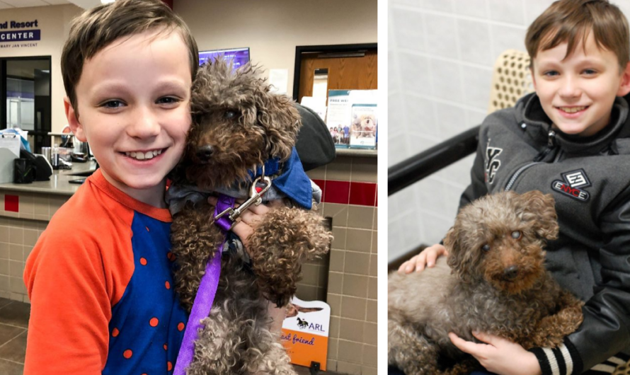 Little Boy Adopts Oldest Unwanted Dog From Shelter, Makes Him Happy Until His Last Days