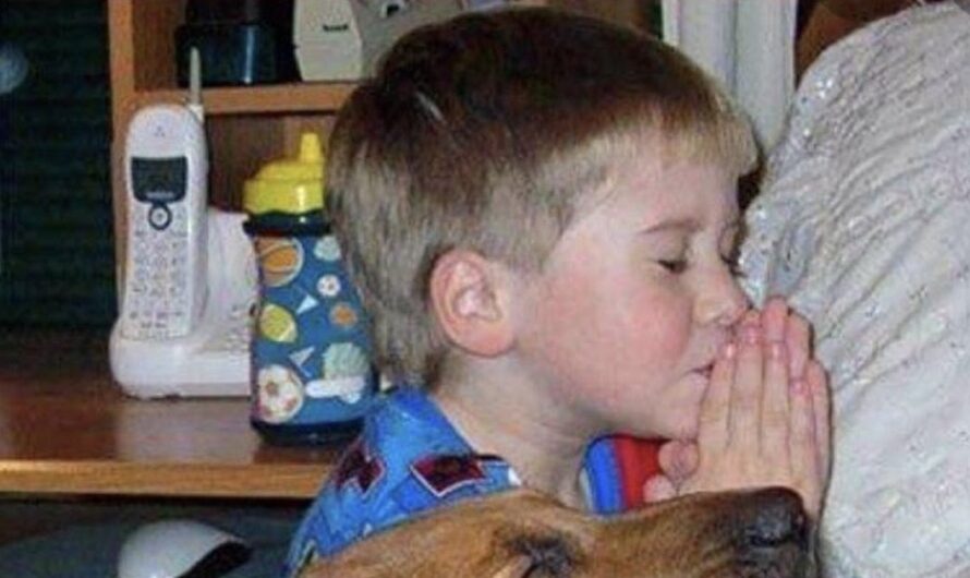 The boy and the dog, who grew up together, prayed for good things to come, deeply touching numerous viewers.