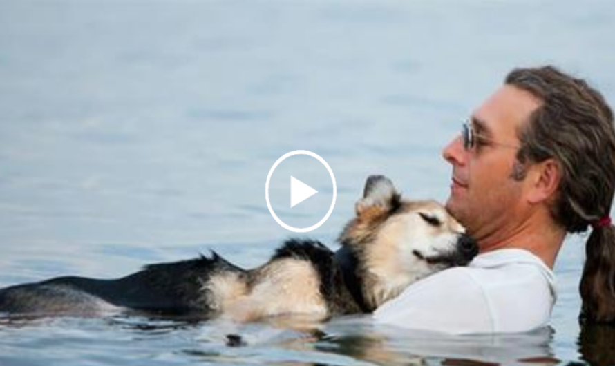 Man Floats With 19 Year Old Elderly Dog Every Day To Ease His Pain