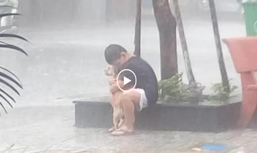 The sight of a boy holding his dog in the rain after nine months apart melted the hearts of millions.